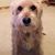 Carla Jean McKinnon's profile image