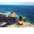 Sallie Lozoya's profile image