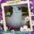 Cathy Lee Knisell-Brafford's profile image
