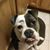 Debbie Smith Kontos's profile image