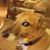 Cindi Christiansen's profile image