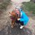 Sarah Schuh's profile image