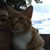 Lynne Miller's profile image
