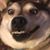Tom Powers's profile image