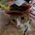 Teresa Bailey's profile image