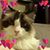Janice Burke's profile image