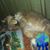 Todd Jennett's profile image