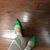 Tricia Attaway Baker's profile image