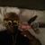 Ashley Atkins's profile image