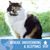 Lynne Arnold's profile image