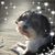 Marilyn Evans's profile image
