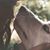 Megan Michelle Hickey's profile image