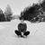 Alli Newsted's profile image