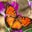Lisa S.S.'s profile image