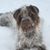 Brenda Skogen McIntosh's profile image