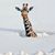 Debra Deckard Lanning's profile image