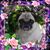 Mary Powers Baker's profile image
