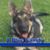 David W Zirkle's profile image