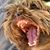 Philip McCanless's profile image