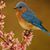 Susan Pohl Hair's profile image