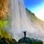 Sabine K. Hagmann's profile image