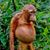 Simone Gualeni's profile image
