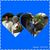 Katral Taylor's profile image