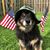 Cecil Kidd's profile image