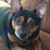 Annie Justiniano Berdecia's profile image