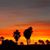 Lori Palm's profile image
