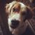 Sandra Boyce Isaac's profile image
