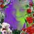 Cynthia Taylor's profile image