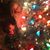 Mary Lou Norton Billingsley's profile image