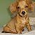 Brenda Lee Rivera's profile image