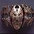 Thomas Rice's profile image