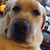 Jacqueline Faas-Canete's profile image