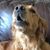Bret Bundy's profile image