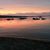 Teresa Hawes-Cardot's profile image