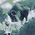 Char Day's profile image