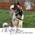 Kimberly Braunecker's profile image