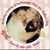 Lamanda Shane Boyette's profile image