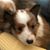 Cathleen Ham's profile image