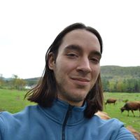 Nick Perilli's profile image