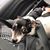 Rachel Lavay's profile image