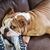 Jolene Pickerign Bonte's profile image