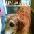 Jen Traver's profile image