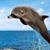 Rick Gozinya's profile image