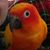 CherylnPaul Peterson's profile image