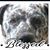 Janet Barber's profile image