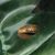 Gina Feley O'Brien's profile image